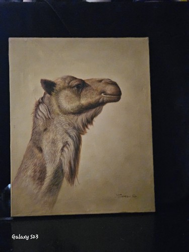 Camel art - camel,